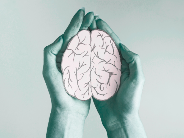hands holding a drawing/ cut out of a brain
