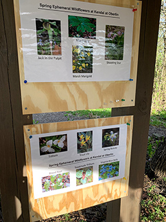 Wildflowers sign at Kendal
