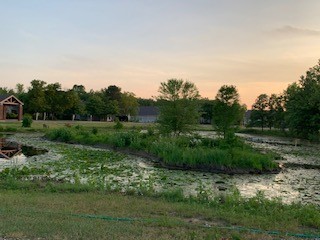 Center Pond