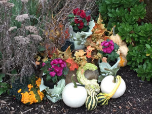 Fall decor - pumpkins, gourds, mums