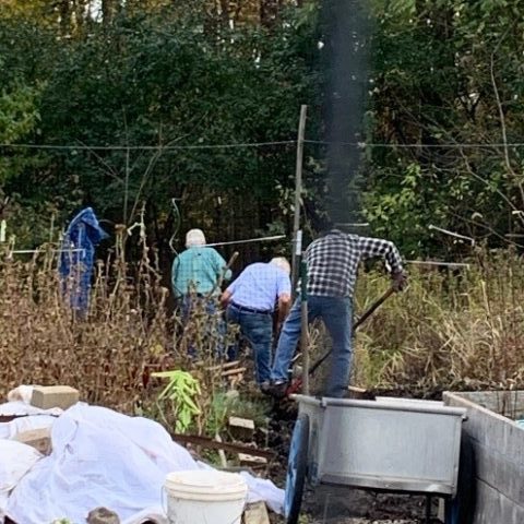 People working in a garden