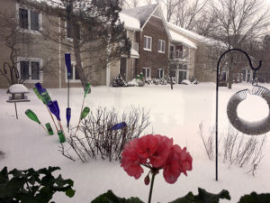 winter scene from inside window with flower
