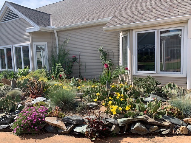 Courtyard Garden June 2021
