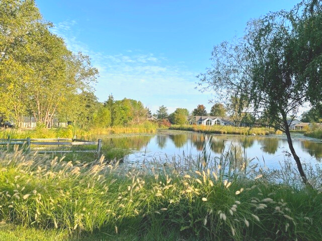 Farmer Pond