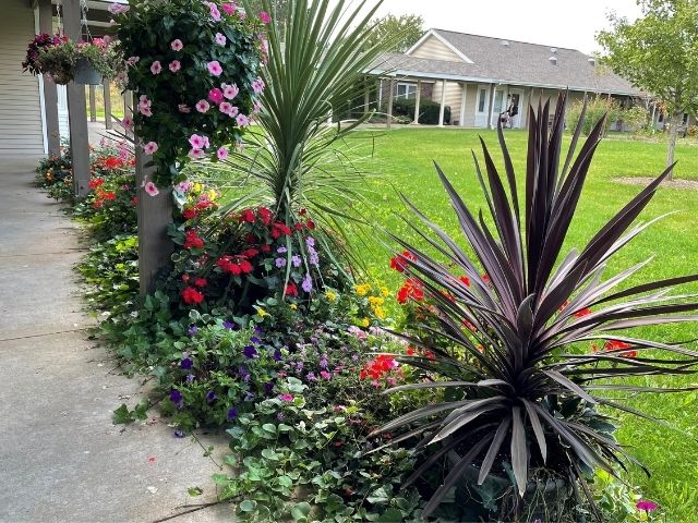 resident flowers outside cottage