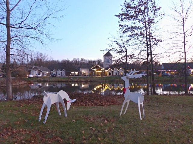 deer decorations