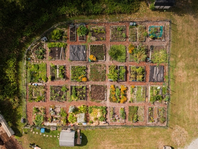 aerial view of community garden
