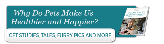 Why do pets make us happier and healthier