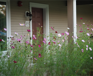 retirement community apartment with flowers