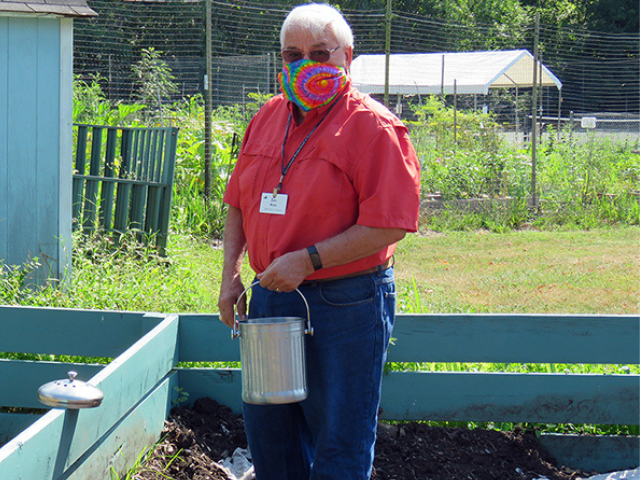 compost 