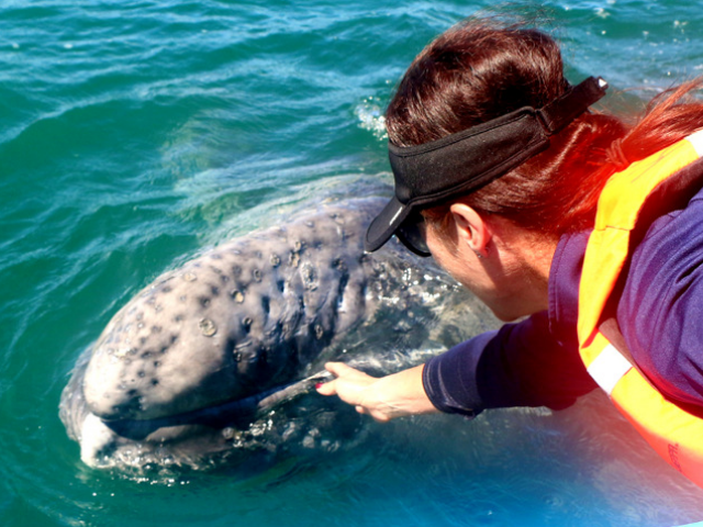 Untitled design (18)