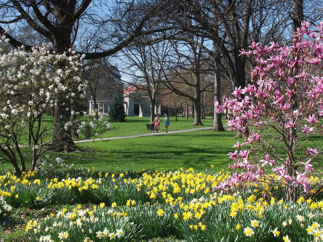 green landscape with yellow, white and purple flowers