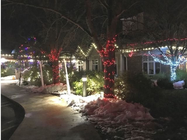 Tree lights