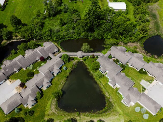 wetlands